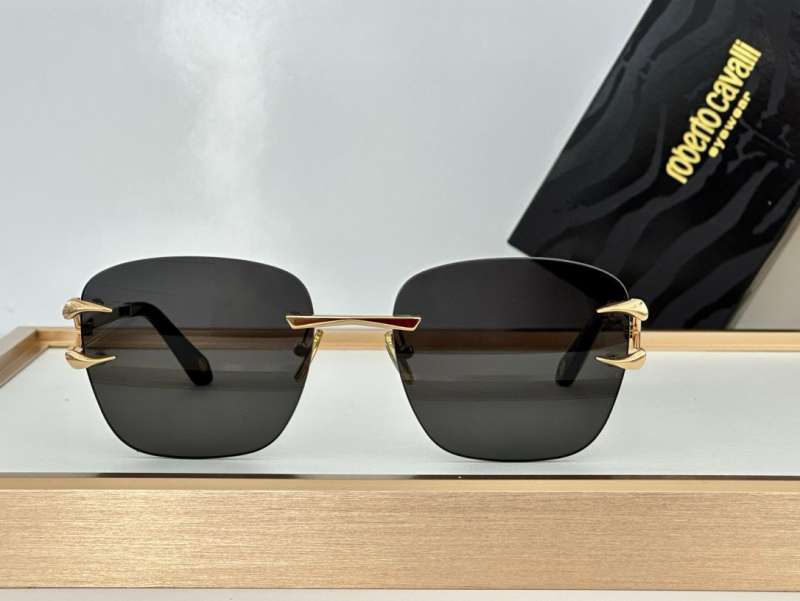Picture of Roberto Cavalli Sunglasses _SKUfw55481769fw